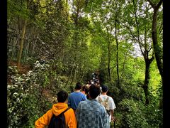 -上海佘山国家森林公园西佘山园