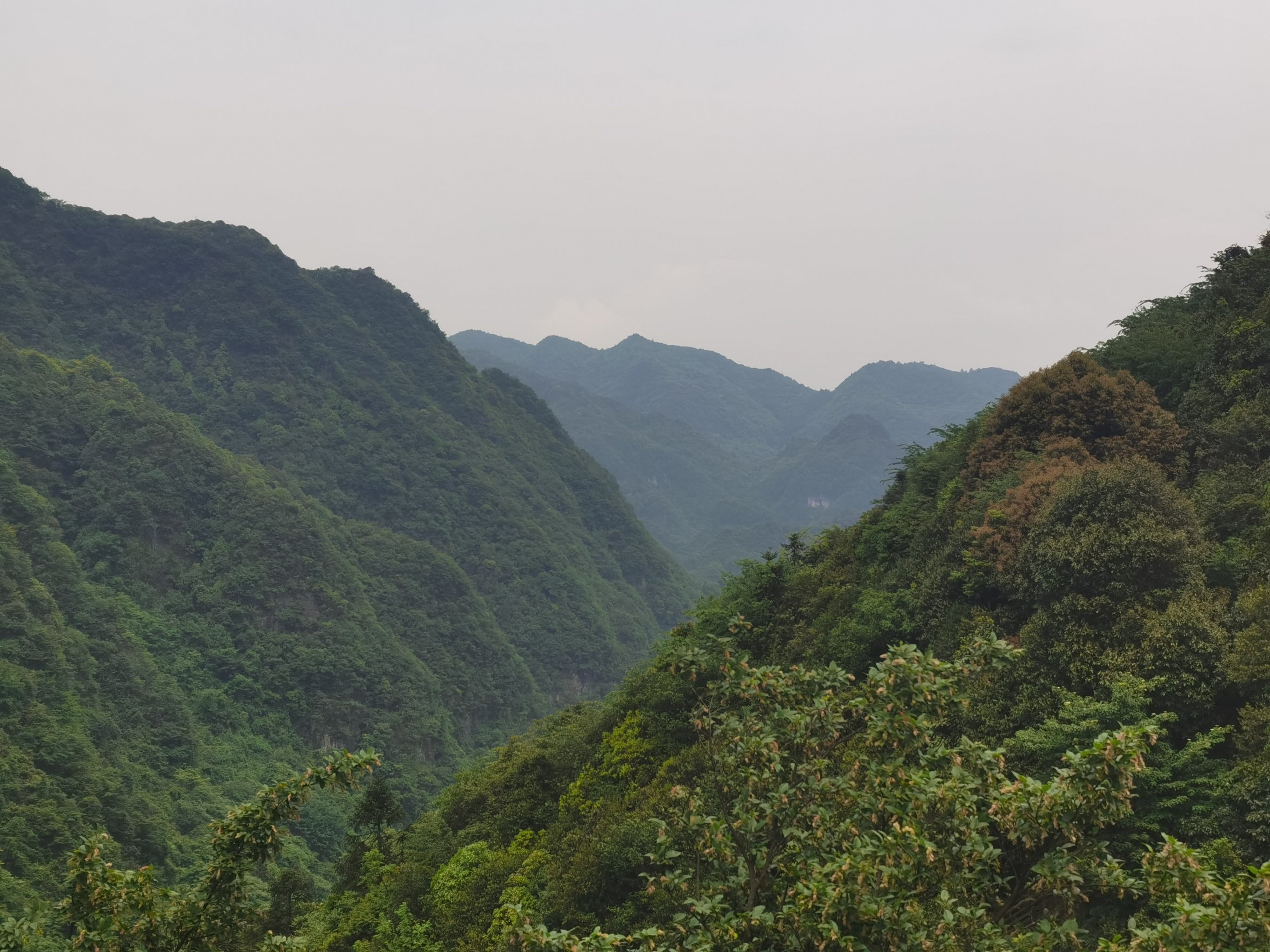 娄山山脉图片