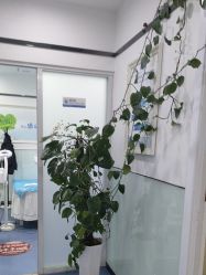 -蕾特恩专业祛痘国际连锁