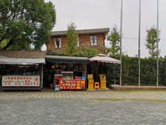 -金山农民画村-枫泾波兰倒置屋
