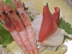 -鸟泉居酒屋·烧鸟·酒馆(百子湾店)