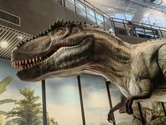 -湖南省地质博物馆