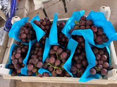 -马陆小张葡萄园农家乐