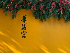 -华清宫景区