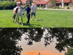 -意大利农场度假村