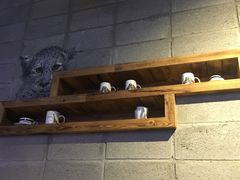 -Who乎coffee&bar