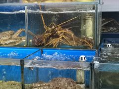 -岳各庄批发市场(西四环中路店)