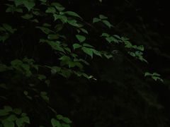 -孟屯河谷景区