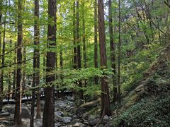 -北京植物园南门售票处