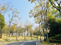 -牛岗山公园