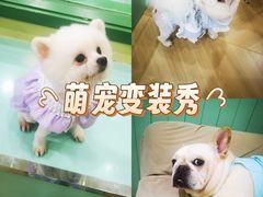 -观音桥步行街