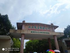 -广东茂名森林公园