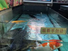 -渔民新村(番禺总店)