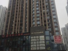 -蒲公英(五里店)