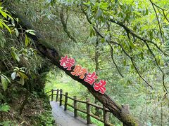 -西岭雪山大飞水景区