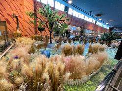 点击看大图 -卡通尼·Safari非洲探索乐园·生日会(金桥国际商业广场店)