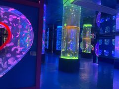 -左海海底世界