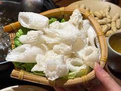 -滇野云南野生菌餐厅(陕西南路店)