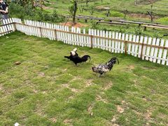 -李小龙乐园(顺德均安店)