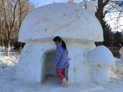 -沈阳奥体冰雪嘉年华