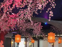 -荷塘秋月·本帮江浙菜(国权路店)