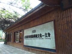 -海南槟榔谷黎苗文化旅游区