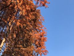 -上海月湖雕塑公园