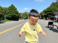 -北陵公园