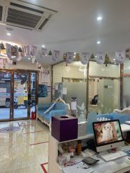 -紫洁俪方（北京）医疗美容