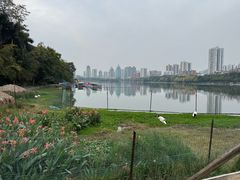 -南宁南湖公园