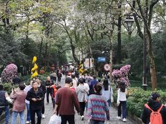 -山外山菜馆(玉泉路店)