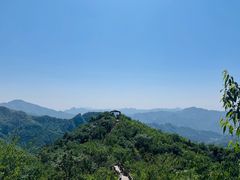 -大岭沟猕猴桃谷风景区
