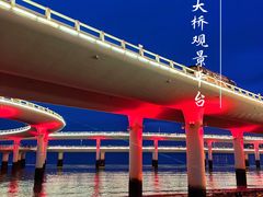 -演武大桥观景平台