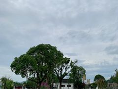 -东钱湖旅游度假区