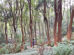 -忠山公园
