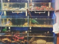 -广记海鲜(杨汊湖一店)