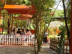 -陶缘一号·四季缘·老字号顺德菜·户外婚礼家宴(西滘店)