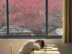 -东南大学(九龙湖校区)