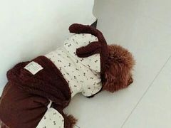 -拾光陶吧