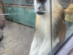 -宁波野生动物园