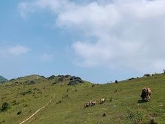 -大姆山草场