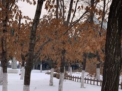 -长春世界雕塑园冰雪艺术天地