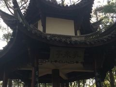 -溪口-滕头旅游景区