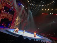 -珠海横琴长隆《卡卡虎奇遇记》