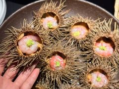-花潮料理艺食馆(SM新生活广场店)