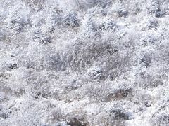 -灵山