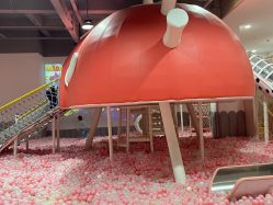 -宝燕乐园(春申店)