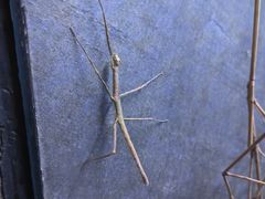 -上海海洋水族馆