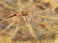 -穆老九清真牛羊肉馆(宋城店)