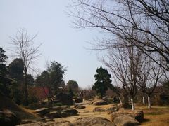 -秀丽东方
